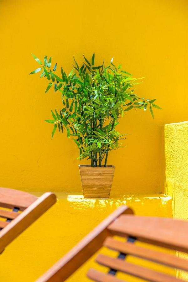 ליסבון Alfama, Bright And Spacious With Private Terrace, By Timecooler מראה חיצוני תמונה